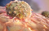 細胞生物：醫(yī)學科研三維動畫